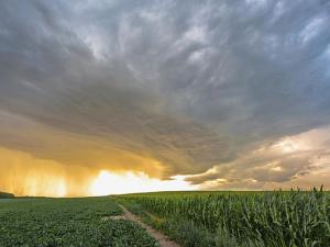 Ag, Business Groups Say California Climate Laws Violate Constitution