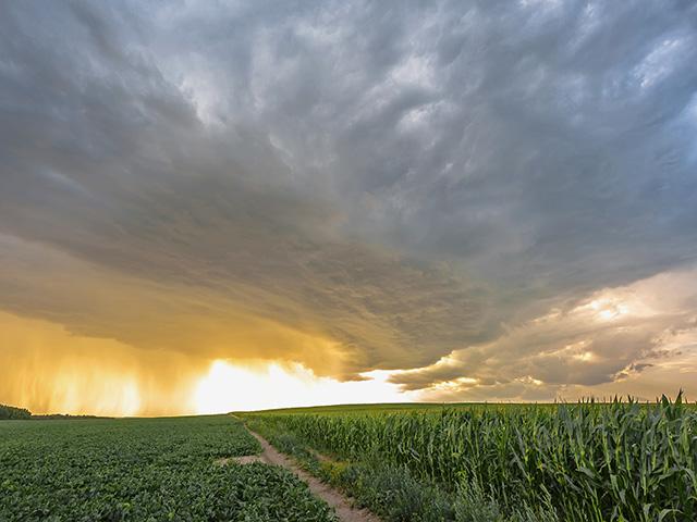 Two national agriculture groups joined a lawsuit against the state of California challenging two climate reporting laws. (DTN file photo)