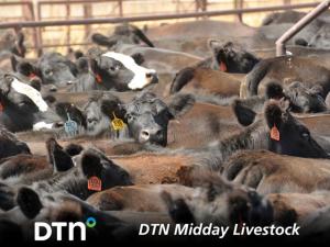 Lean Hog Futures Rally Tuesday