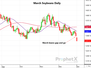 Soybeans Gap Sharply Lower on Good Brazil Weekend Rain and More to Come