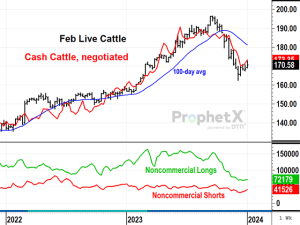 February Live Cattle End Another Week Higher
