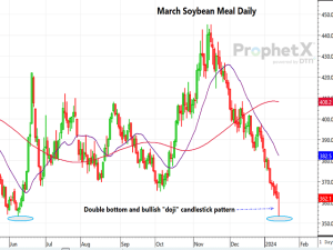 Spot Soybean Meal Shows Potential Bullish Chart Signals