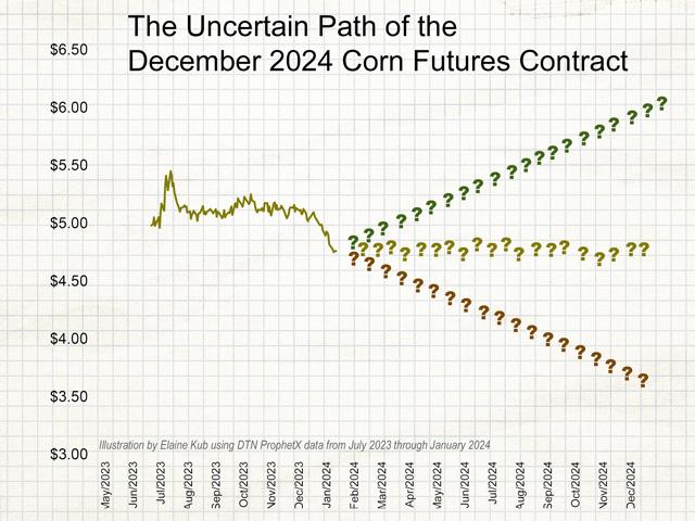 The December 2024 corn futures contract, over the next 11 months, may go up, down, or sideways. (Illustration by Elaine Kub)