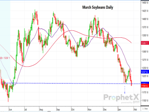 March Soybeans Temporarily Breach $12 Level; More Weakness to Come?