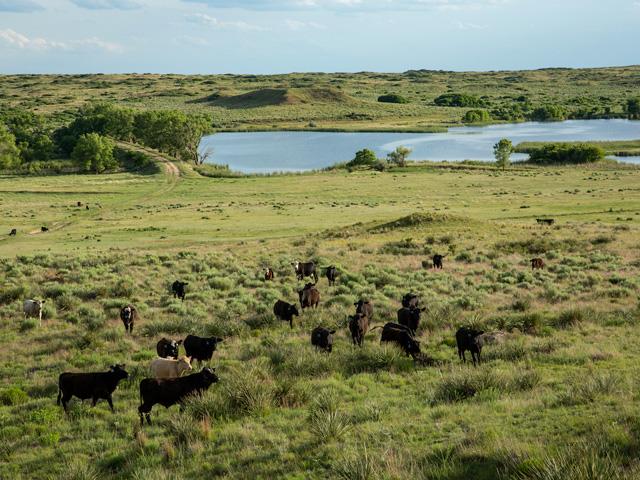 The 80,000-acre Turkey Track Ranch is being marketed not only for its 2,200-head capacity, but also for its oil, gas and carbon sequestration potential. (Wyman Meinzer photo courtesy of Icon Global)