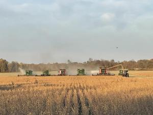 Kentucky Farmers Helped Hayden Family Harvest Crop After Father Died