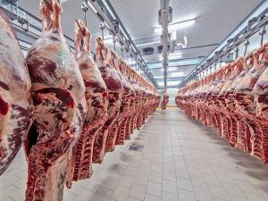 2023 US Beef Exports Remained Strong, but Down From 2022 Record Highs