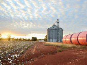 EPA Stands Pat on Registration of Paraquat Herbicide, Excludes Parkinson’s Link
