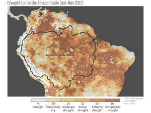 Climate Change Kicks Amazon El Nino Dryness into Overdrive