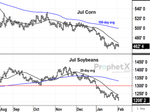 Summer Corn, Soybean Prices Elude Support