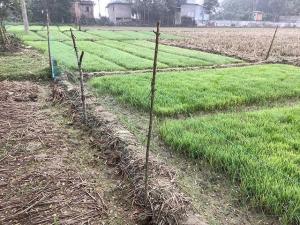 The View From the Other Side of the World in Asia