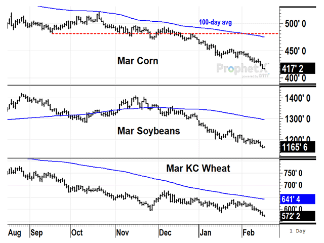 As of Thursday, Feb. 15, March corn prices are on track for their ninth lower weekly close in ten weeks. March soybeans are headed for their fourteenth lower close in 15 weeks. March KC wheat prices haven't had three consecutive higher weekly closes since July. In early 2024, specs continue to be rewarded for holding large short positions (DTN ProphetX chart by Todd Hultman).
