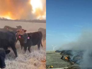 Widespread Wildfires Force Evacuations in High Plains as Hundreds of Thousands of Acres Affected