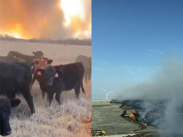 Dangerous wildfires have exploded in the High Plains and spread quickly because of high winds, dryness and low humidity. (Texas Department of Agriculture photos)