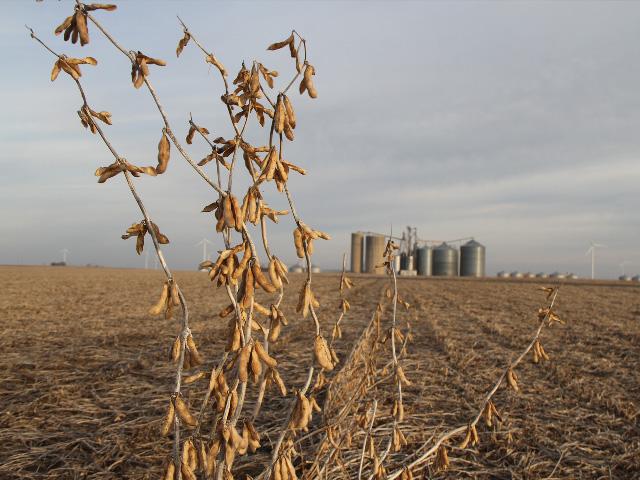The former CEO of Express Grain in Mississippi is expected to change his plea in a wire fraud trial set for Feb. 26. (DTN file photo)