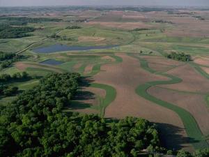Soybean Farmers Say EPA Herbicide Strategy Too Costly