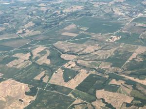 What TikTok, Nippon Steel and Chinese Farmland Purchases Have in Common