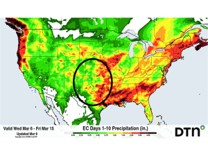 Needed Rain Coming for Southern Plains Wheat