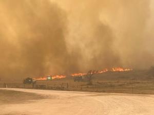 Agriculture Organizations, Producers Rally for Wildfire Victims