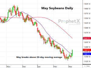 Reaction to March WASDE Is Mild; Soybeans Rise on China Demand Changes