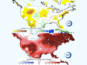 How Could a Developing La Nina Affect Corn Yield?