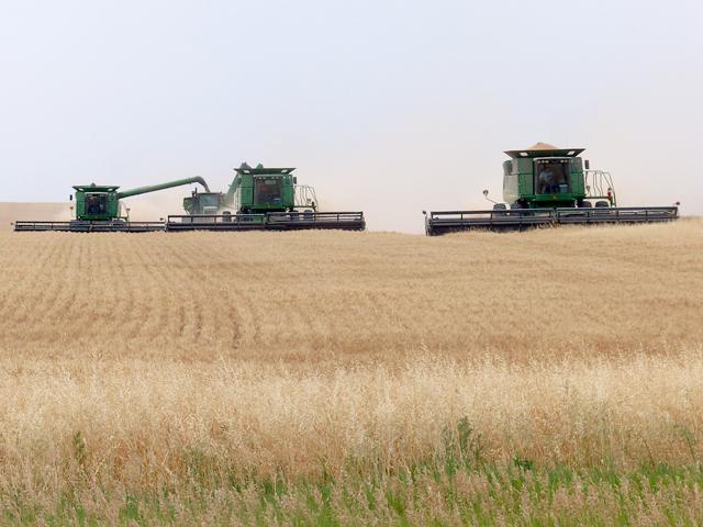 Custom harvesters are among the businesses that increasingly rely on H-2A guest workers. Farmers lobbying lawmakers are frustrated over wage hikes and question how USDA's conducts its semi-annual Farm Labor Survey. (DTN file photo)