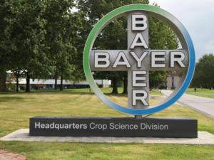 Bayer CEO Anderson Focuses on Roundup Legal Fight Inside, Outside Courtroom