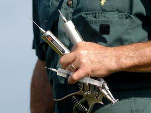 BRD Vaccine Could Help Prevent Most Common Cattle Disease