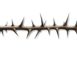 Thorny Management Issues in Family Business