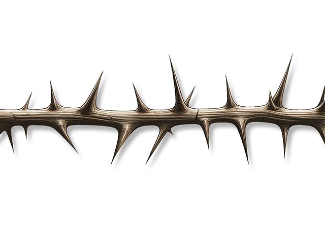 It can be a thorny path when seeking desire for family harmony, because of assumptions about people's intentions and the habit of taking family members for granted. This can cause families to avoid some of the most important topics in any business. (Illustration generated by Microsoft Bing DALL-E 3)