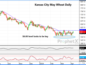 Kansas City Wheat Could Be Close to Turning, But It Has Been a Struggle All Year