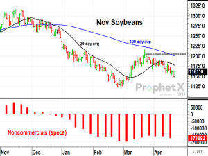 November Soybean Prices Offer a Spring Riddle