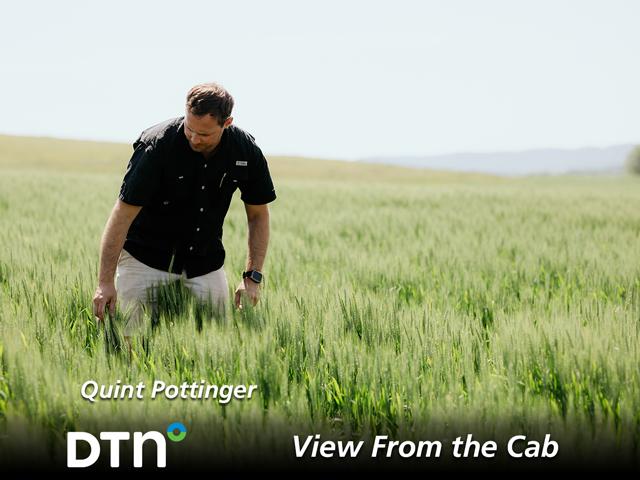 The wheat crop is looking good this spring in central Kentucky where Quint Pottinger will be reporting from this season as one of DTN's View From the Cab farmers. (Photo by Leah Pottinger)