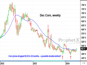 December Corn Takes New Direction Into New Season