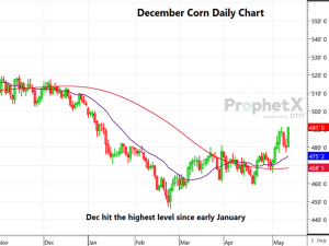 Corn Surges on Lower-Than-Expected Stocks; Wheat, Soy Finish With Solid Gains After Mostly Neutral Report
