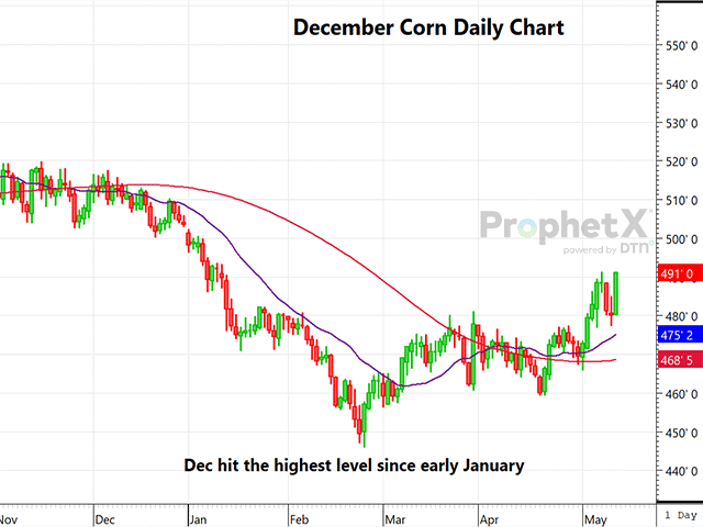 This chart shows daily new-crop December corn prices rising sharply to their highest level since early January on lower stocks and higher demand than what the trade had anticipated. (DTN ProphetX chart)