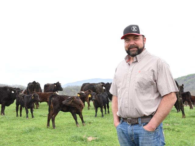 Lebanon, Virginia, cattle producer Zak Ketron markets his commercial feeder calves through the Abingdon Feeder Cattle Association. (DTN/Progressive Farmer photo by Becky Mills)