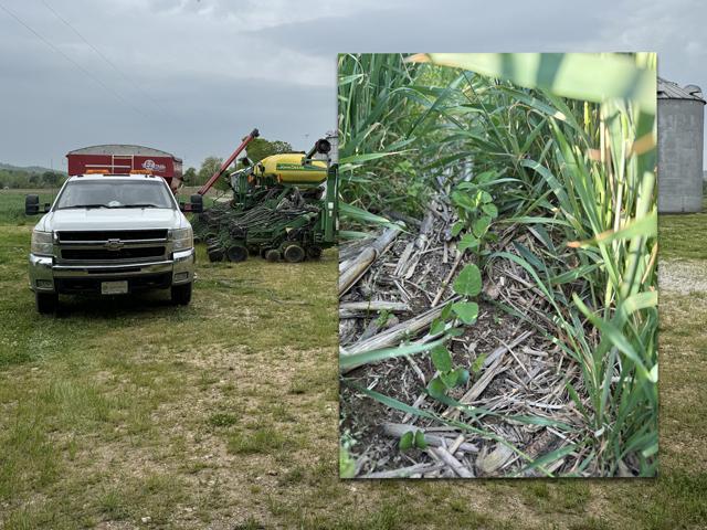 The planter has been parked on Quint Pottinger's farm in central Kentucky more than he'd like this week. But a relay cropping experiment (see inset photo) already has soybeans up and looking good. (Photos courtesy of Affinity Farms)