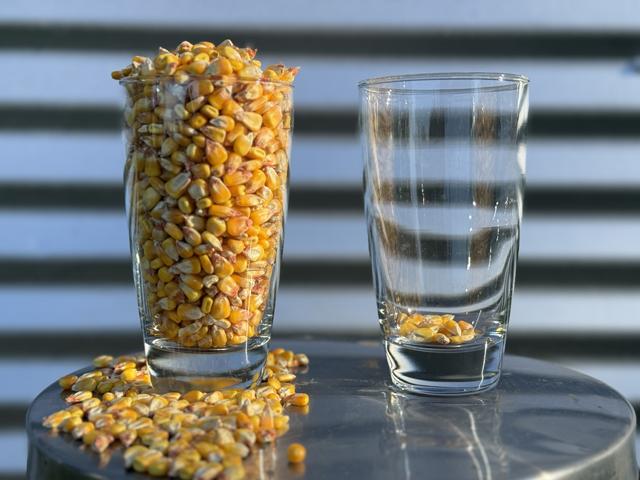 Grain markets tend to be in a condition of either scarcity or abundance. (Photo by Elaine Kub)