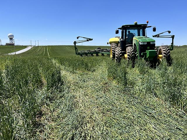 Hank Graves, a farmer in Platte County, Missouri, plants soybeans in a standing wheat and rye cover crop on May 11, 2024. Graves, who farms with his father, Todd, participates in the Farmers for Soil Health programs. It is one of dozens of programs that pay farmers to experiment with growing cover crops. (DTN photo by Chris Clayton)