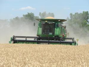 Deadline for National Yield Contest Nears for Winter Wheat Categories