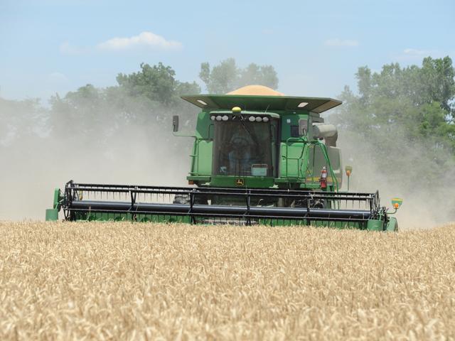 While winter wheat harvest is still well out on the horizon, crop growers only have one week left to enter the 2024 National Wheat Yield Contest. (DTN photo by Pamela Smith)