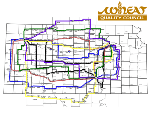 Crop Scouts Will Put Their Boots in Kansas Wheat Fields This Week