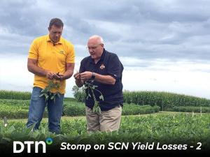 Consider These 5 Steps When SCN Threatens to Reduce Soybean Yields