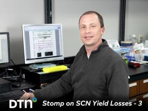 New Gene Discovery May Prevent Soybean Cyst Nematode from Attacking Soybeans