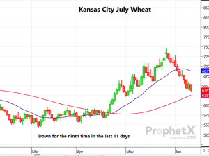 USDA June WASDE Report Provides Little Market-Moving News