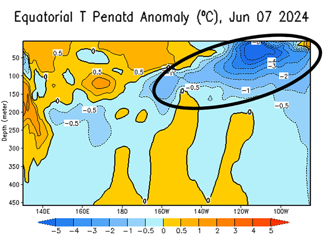 A pocket of very cold water is just below the surface in the eastern tropical Pacific Ocean. (NOAA graphic)