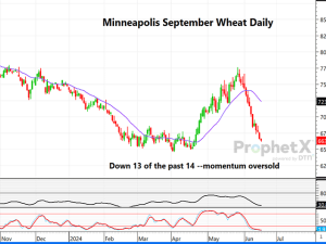 Is Minneapolis September Wheat Getting Overdone to the Downside?
