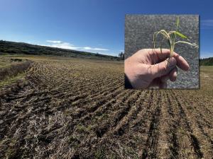 Farmers Weather Hot and Cold Crop Challenges