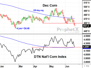 Corn Futures Prices Collapse as Basis Holds Firm?